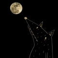 460>_1701252